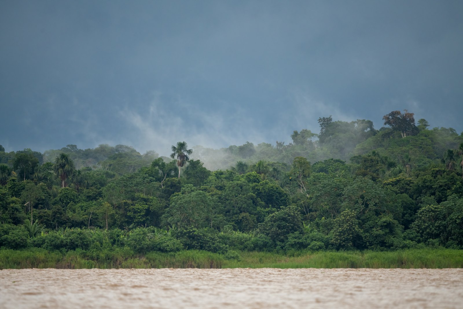 Luchtfoto van het uitgestrekte Amazoneregenwoud in Suriname