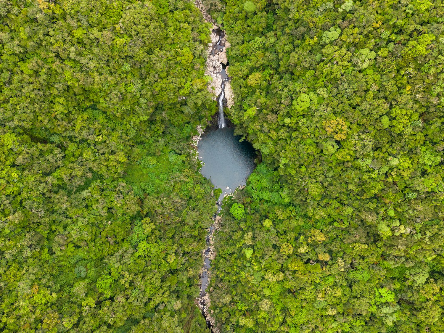 Een waterval in het tropische regenwoud van Suriname